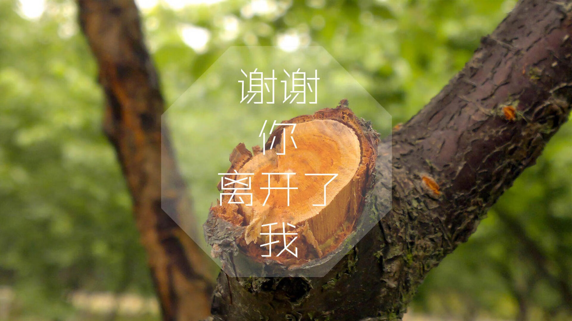 九游娱乐官网 (JIUYOU)-LPL赛区选手国际大赛表现优异，lpl选手国服rank