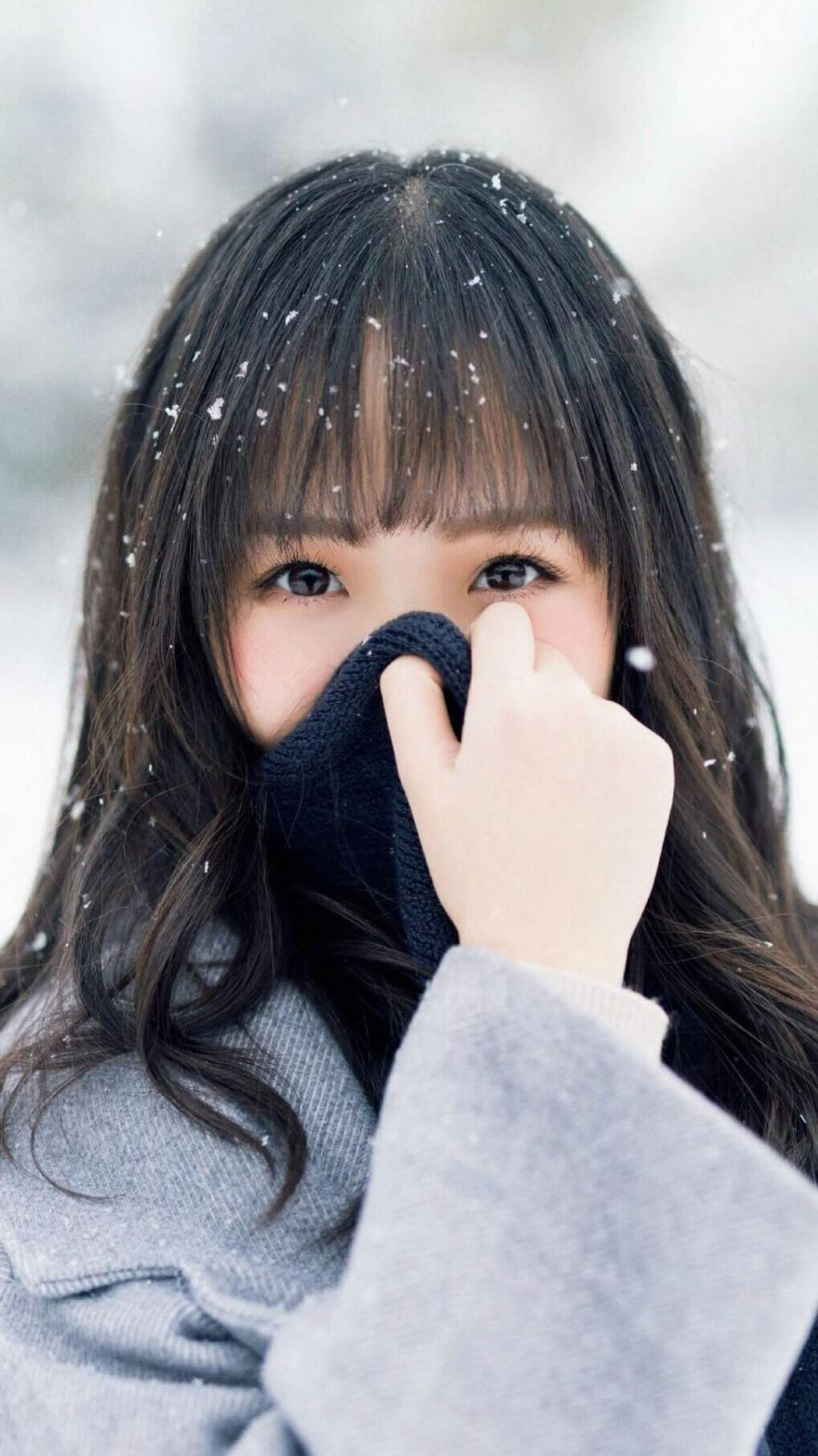 九游9游-森林狼队出奇制胜 迎来战绩回升，森林狼队阵容