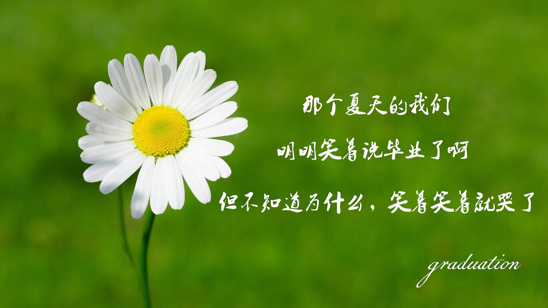 九游娱乐(jiuyou)官方网站-青训机构引导球员制作成长手册记录技术演进过程，足球青训球员培养协议