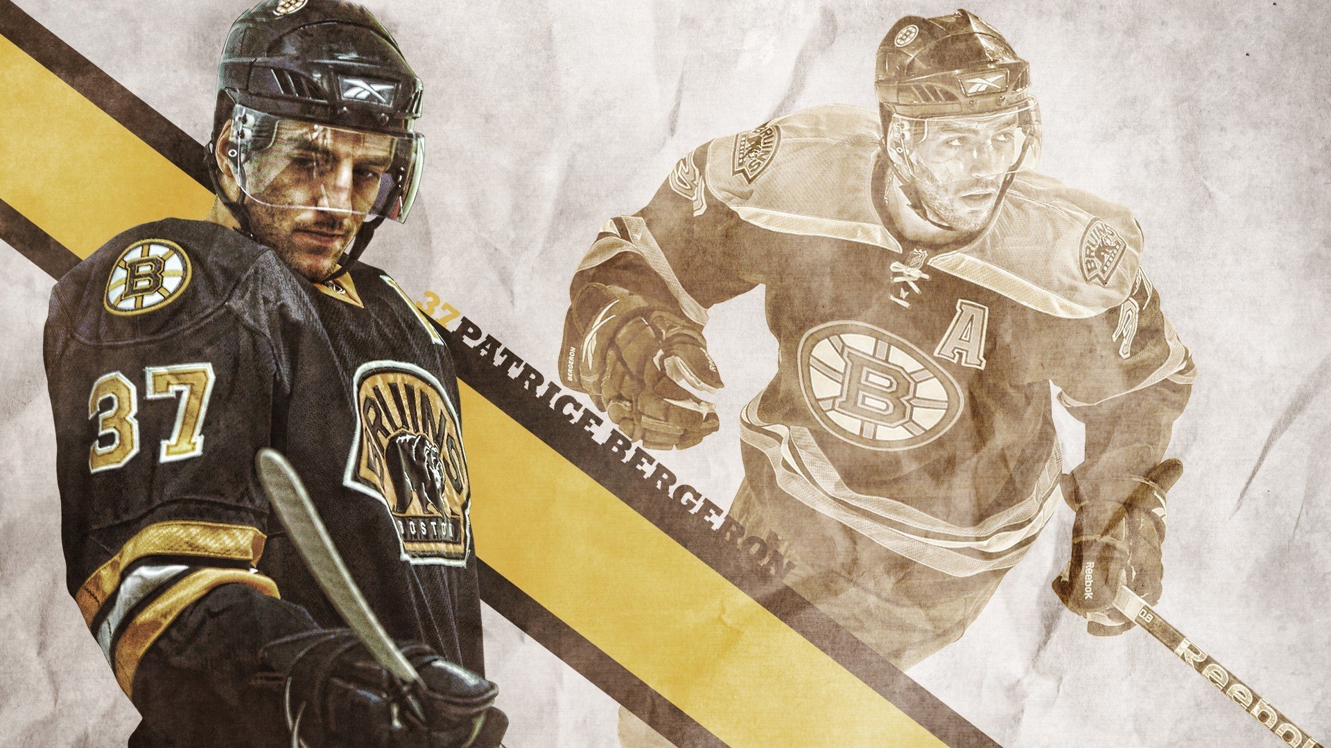 荷兰马术协会建立马术运动伤害预防中心,保障运动员安全。,荷兰 马术